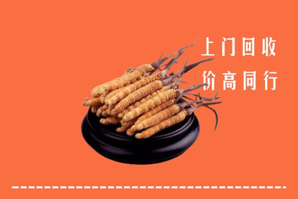 高价求购：思南县回收散虫草
