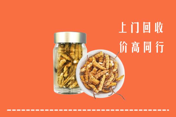 思南县回收冬虫夏草