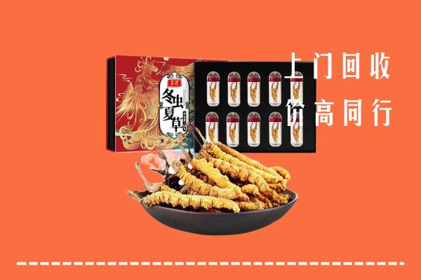 思南县回收虫草
